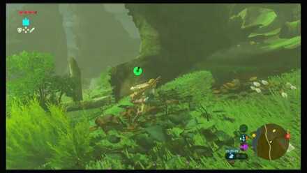 Botw - Dueling Peaks Korok 13 Overworld View