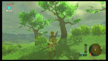Botw - Dueling Peaks Korok 14 Overworld View