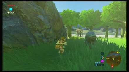Botw - Dueling Peaks Korok 16 Overworld View