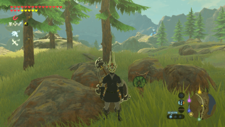 Botw - Eldin Korok 2 Overworld View