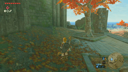 Botw - Akkala Korok 15 Overworld View