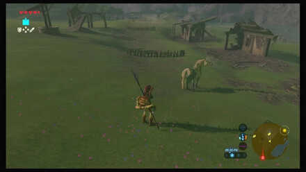 Botw - Dueling Peaks Korok 22 Overworld View