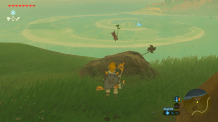 Botw - Akkala Korok 27 Overworld View