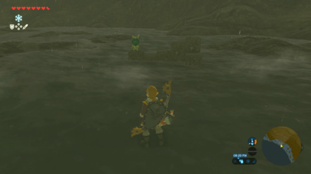 Botw - Akkala Korok 28 Overworld View