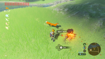 Legend of Zelda BOTW Campfire