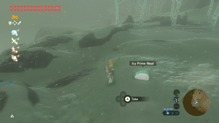 Legend of Zelda BOTW Freezing Food