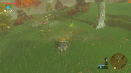 Botw - Akkala Korok 31 Overworld View