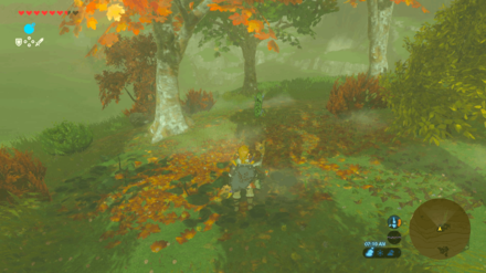 Botw - Akkala Korok 32 Overworld View