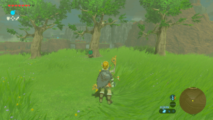 Botw - Akkala Korok 35 Overworld View