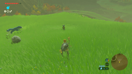 Botw - Akkala Korok 36 Overworld View