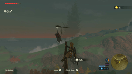 Botw - Akkala Korok 38 Overworld View