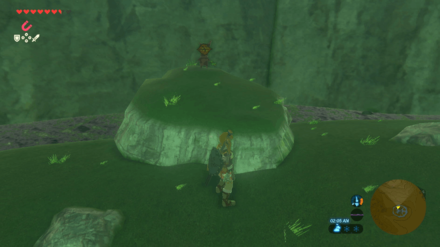 Botw - Akkala Korok 40 Overworld View