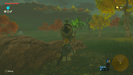 Botw - Akkala Korok 41 Overworld View