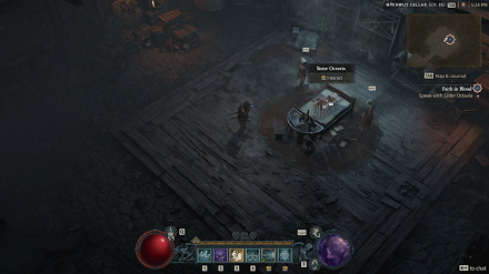 Diablo IV - Injured Sister Octavia