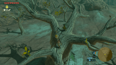 Botw - Akkala Korok 46 Overworld View