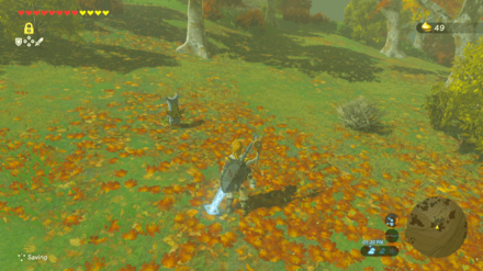 Botw - Akkala Korok 52 Overworld View