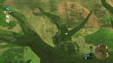 Botw - Ridgeland Korok 3 Overworld View