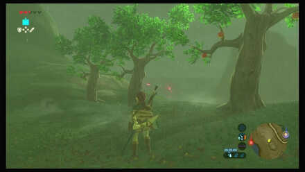 Botw - Dueling Peaks Korok 50 Overworld View