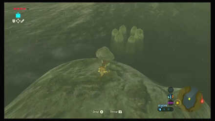 Botw - Dueling Peaks Korok 49 Overworld View