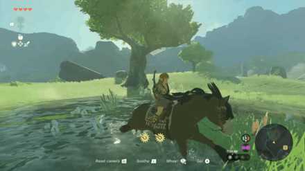 Zelda ToTK - Horses