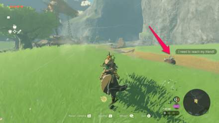 Zelda ToTK - Korok
