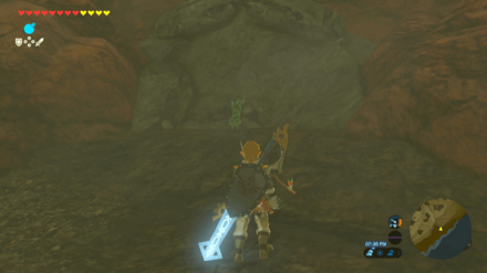 Botw - Akkala Korok 56 Overworld View