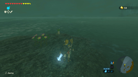 Botw - Akkala Korok 57 Overworld View