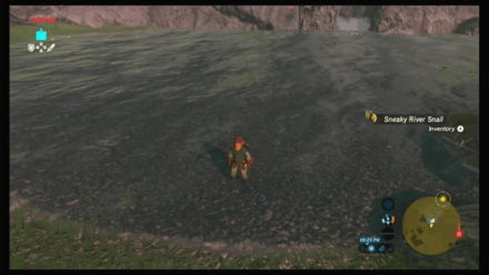 Botw - Hateno Korok 10 Overworld View