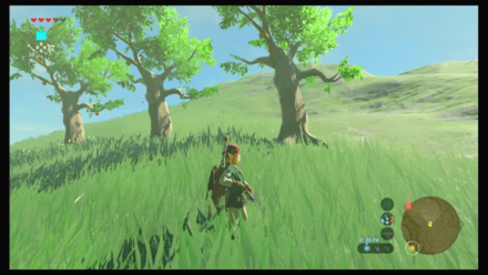 Botw - Hateno Korok 4 Overworld View