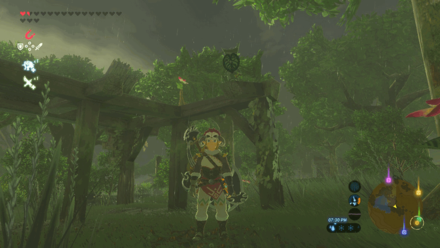 Botw - Ridgeland Korok 34 Overworld View