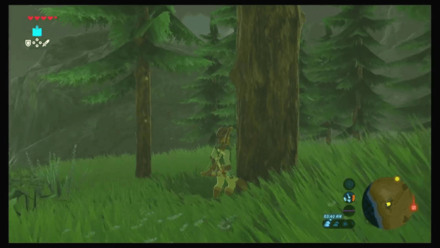 Botw - Hateno Korok 11 Overworld View