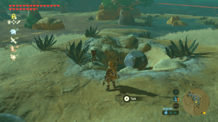 Botw - Wasteland Korok 18 Overworld View