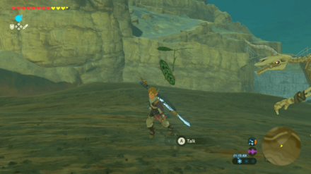 Botw - Gerudo Korok 5 Overworld View