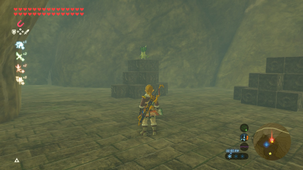 Botw - Woodland Korok 2 Overworld View