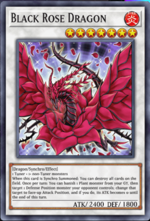 Black Rose Dragon