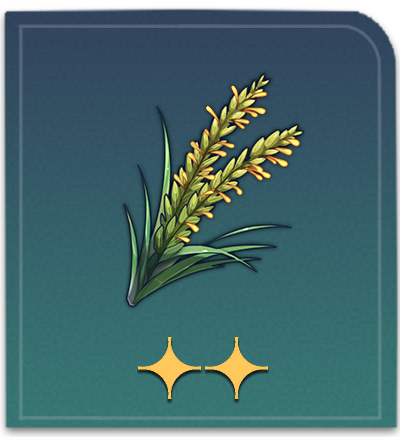 Rice Plant Panicle Item