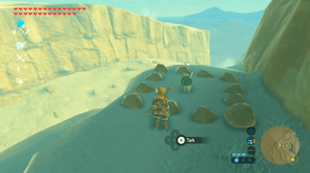 Botw - Wasteland Korok 32 Overworld View