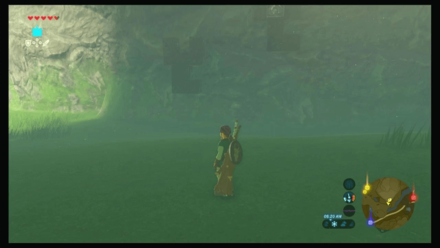 Botw - Hateno Korok 29 Overworld View