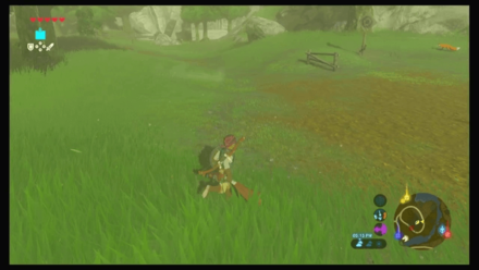 Botw - Hateno Korok 30 Overworld View