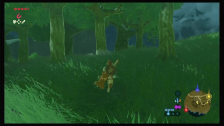 Botw - Hateno Korok 32 Overworld View