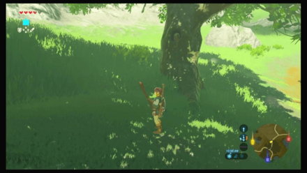 Botw - Hateno Korok 35 Overworld View