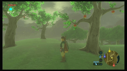 Botw - Hateno Korok 33 Overworld View