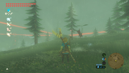 Botw - Woodland Korok 19 Overworld View