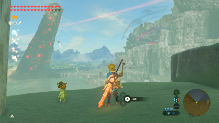 Botw - Woodland Korok 21 Overworld View