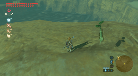 Botw - Wasteland Korok 37 Overworld View