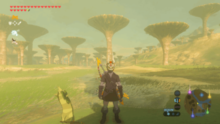 Botw - Ridgeland Korok 72 Overworld View