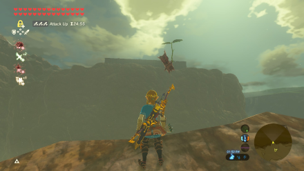 Botw - Woodland Korok 23 Overworld View