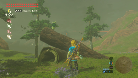 Botw - Woodland Korok 24 Overworld View