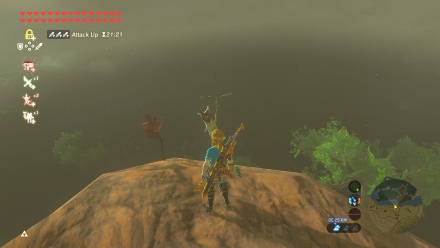 Botw - Woodland Korok 25 Overworld View