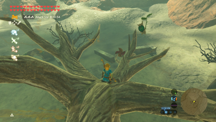 Botw - Woodland Korok 27 Overworld View